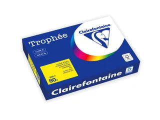Trophée Intens Gekleurd Papier A4 80 gram 500vel Zonnegeel - 2