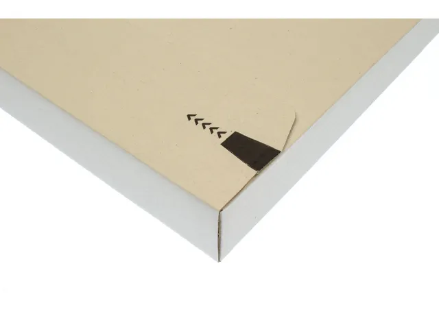 brievenbusdoos Raadhuis 255x170x28mm wit 650grs duplex 5 stuks