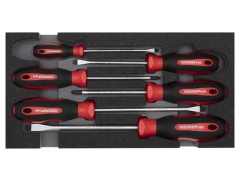 GEDORE RED R22150013 Schroevendraaierset PH+SL 2/6 CT module 6-delig