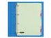 Intercalaires Quantore 4 perf 10 onglets assorti carton