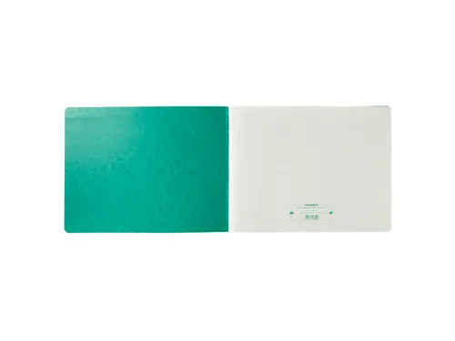 Piqure 29,7x38 uitg hoofd32 kol 80bl