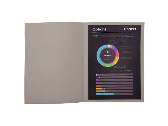 Pak van 100 dossiermappen ROCK''S 220 - 24x32cm Grijs