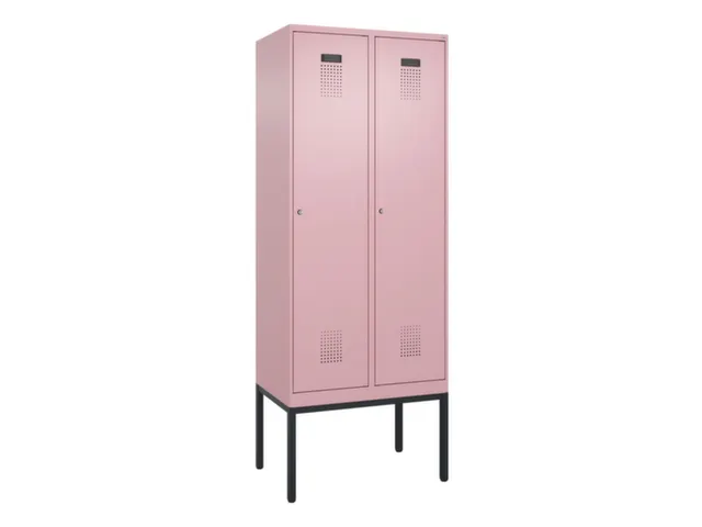locker voor scheiding van kleding,HxBxD 2120x800x500mm,2vak