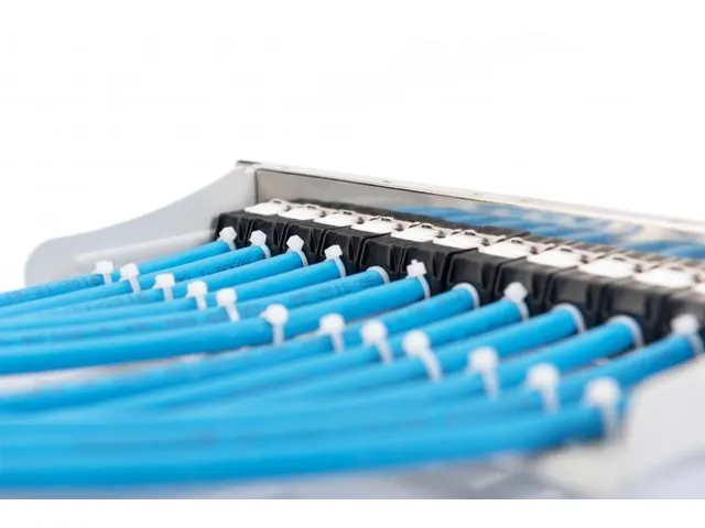 Modulair Patchpaneel 12-poorts Blanco 1U 254mm 10'' Rackmontage Grijs