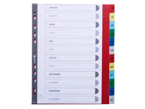 Bedrukte Tabbladen A4+ Jan-dec Assorti Pp 0.12mm 12-delig 11-gaats(FR)