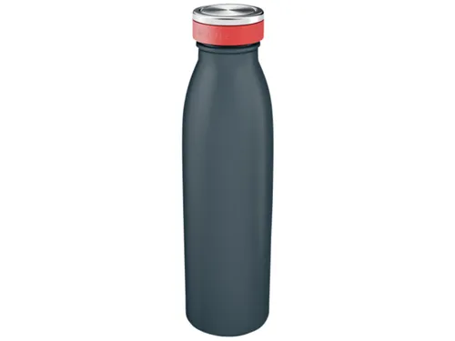 Drinkfles Leitz Cosy geïsoleerd grijs 500ml