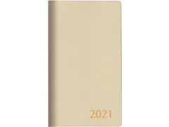 Visuplan 20 zakagenda assorti kleuren 2025