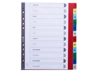 Bedrukte Tabbladen A4+ Jan-dec Assorti Pp 0.12mm 12-delig 11-gaats(FR) - 5