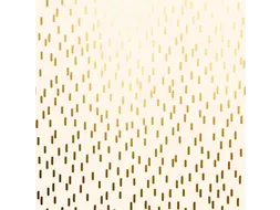 Apparaatrol Special Wrap 100mx30cm crème met goud