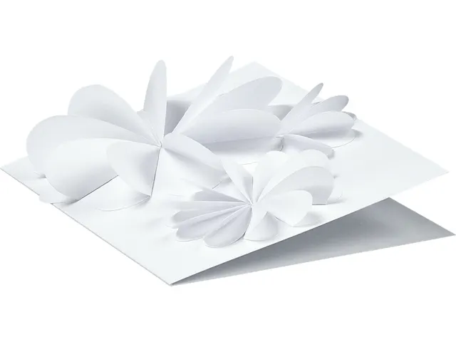 Fotokarton Folia 300gr 50x70cm 00 wit