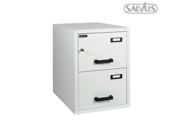 Brandwerende Ladekast Salvus Bolzano 2 Laden