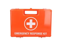 Carpoint 119-Delige EHBO Koffer met Wandhouder Rood