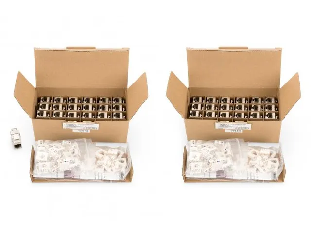 Module Keystone CAT 6A blindé Connexion sans outil 48 pièces