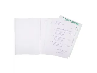 Orderboek Q5x5 29,7x21 50bl tripli - 2