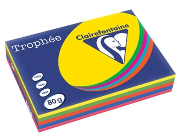 Trophée Intens gekleurd papier A4 80 gram 500vel Assorti