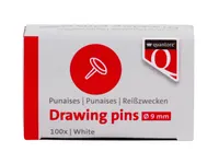 Quantore Punaises