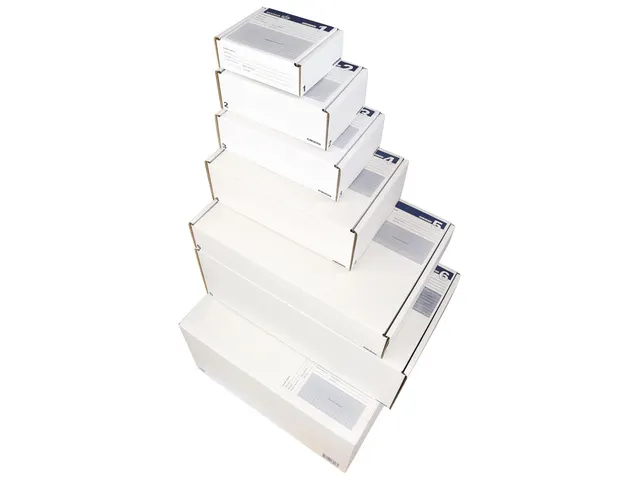 postpakketdoos 1 Raadhuis 146x131x56mm Wit bedrukt 5 stuks