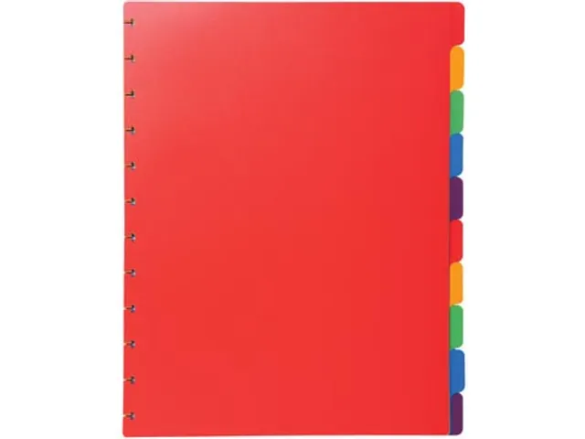 Tabbladen voor showalbum A4 10 Tabs Asssorti