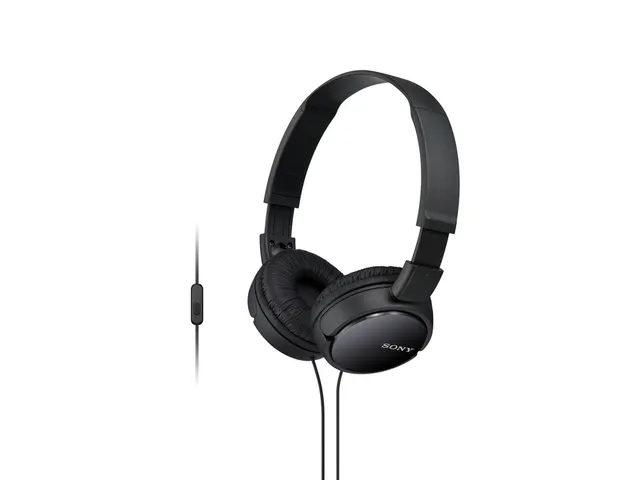 Casque filaire Sony MDR-ZX110AP noir
