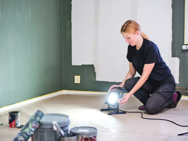 Werklamp Rapid The Painter+ met snoer