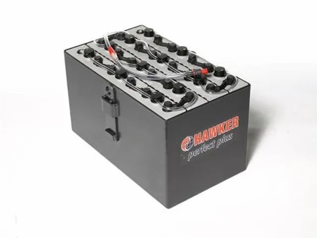 Batterijtrog Onderhoudsvrij 24V - 4 20Ah