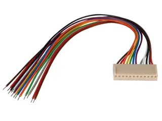 Printconnector - Vrouwelijk - 12 Contacten / 20cm - 1