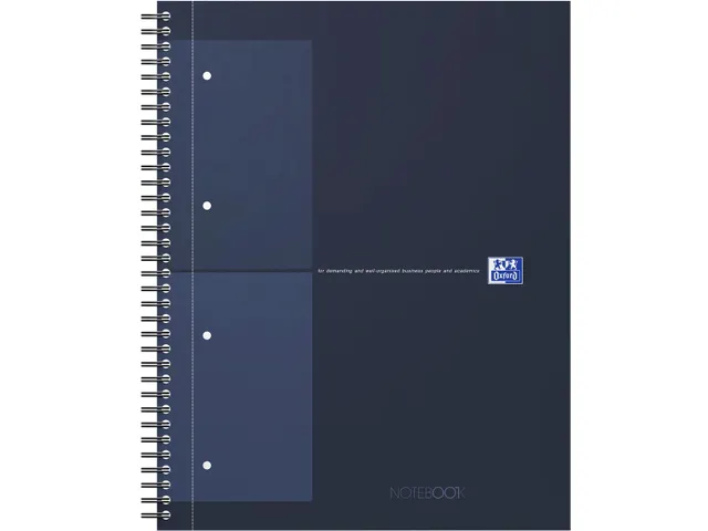 International Notebook 160 blz A4+ geruit blauw