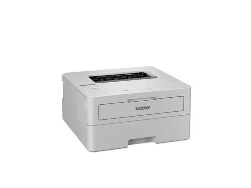 Printer Laser Brother HL-L2865DW