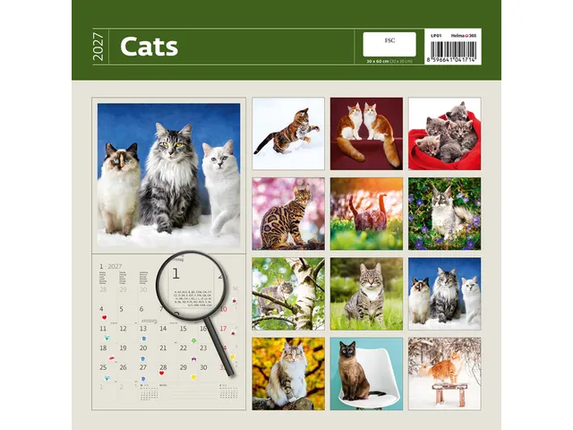 Kalender 2027 Helma 365 30x30cm katten