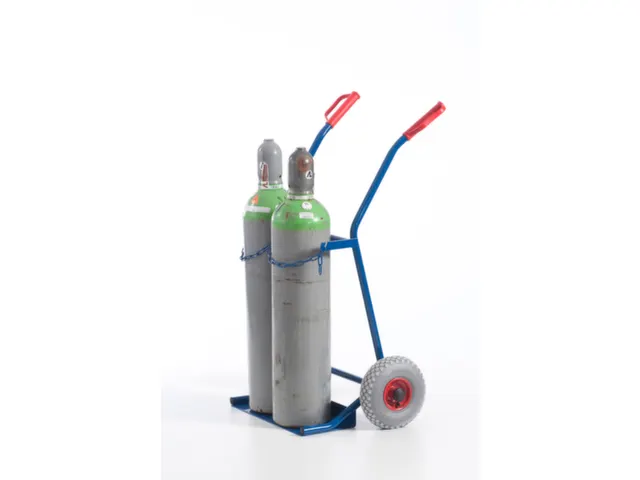 Diable Pour Bouteilles Force 100 kg 2bouteilles De 20 l Bandage Pneu