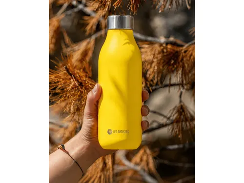 Thermosfles 2.0 Les Artistes Paris 500ml Rio