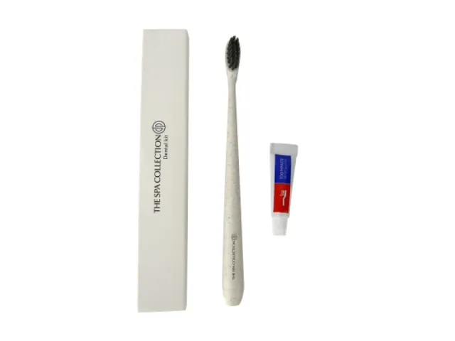 The Spa Collection Dental set Tandenborstel Wit doosje 250 stuks