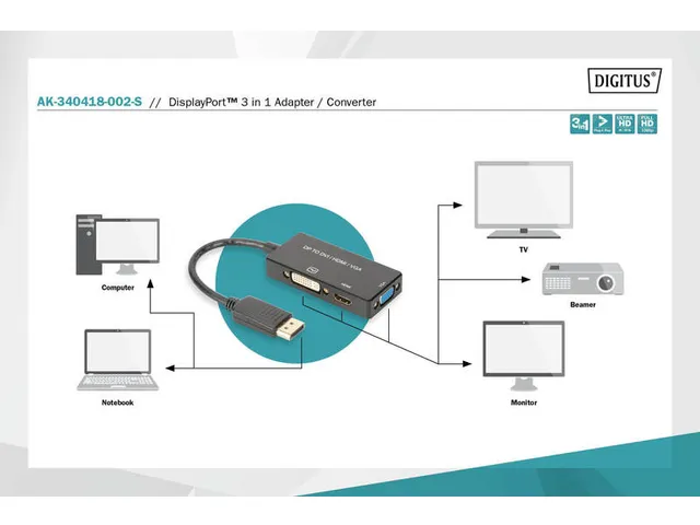 DisplayPort 3in1 adapter / converter Zwart