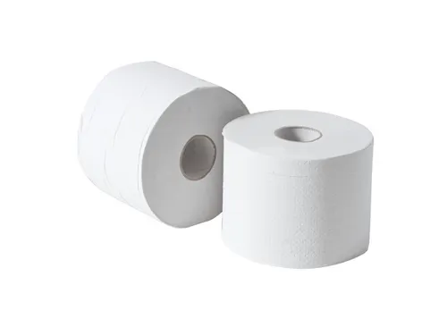 Compact Toiletrol 2-laags 100 Meter 500 Vel Wit
