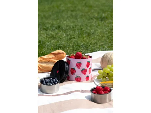 Lunchbox 700ml geïsoleerd ventilatie opening Strawberry