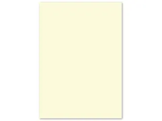 papier Kangaro A4 120 gram pak a 100 vel beige - 5