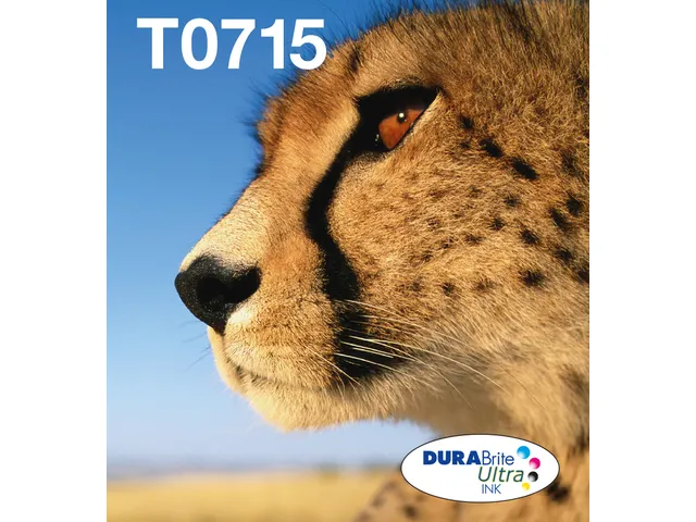 Multipack 4-colours T071 EasyMail