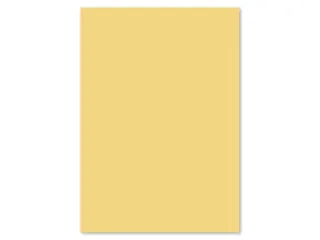 Papier Kangaro A4 80grs donkerchamois pak 100 vel - 3