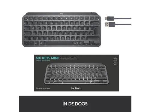 Logitech MX Keys US International Toetsenbord QWERTY Bluetooth Grijs