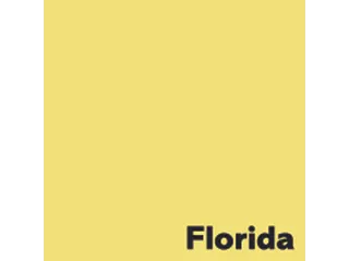Kopieerpapier Chile Floriada Geel A4 80 Gram 500 Vel - 2