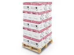 Pioneer Printpapier A4 80 Gram Quickbox Pallet