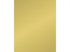 Etalagekarton Folia 48x68 cm 400gr Nr 611 Goud