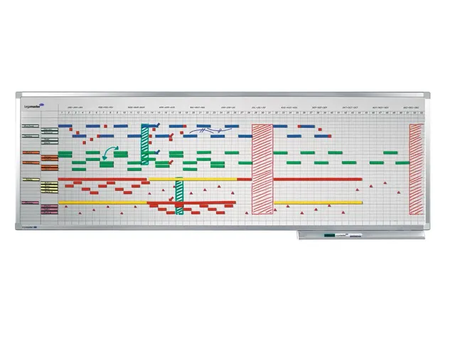 Professional Jaarplanner 50x150 cm 30 personen