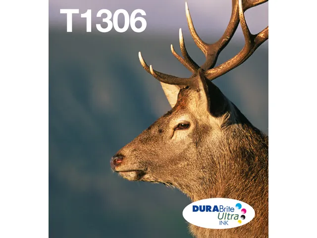 Multipack 3-colours T1306 DURABrite Ultra Ink EasyMail