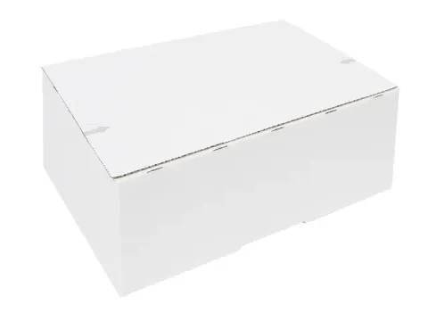 Postpakketbox IEZZY 4 305x215x110mm wit Voordeelbundel