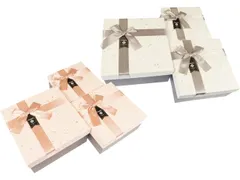 Geschenkdoos H21-03B