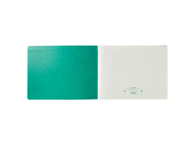 Piqure 29,7x38 uitg hoofd32 kol 80bl
