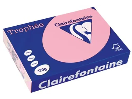 Trophée Pastel gekleurd papier A4 120 gram 250vel Roze