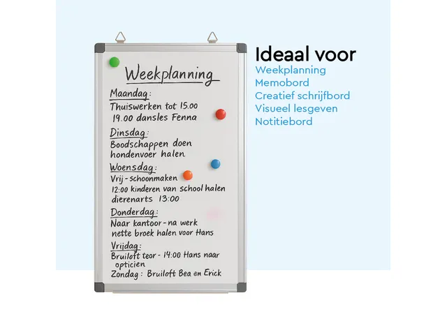 BRASQ Magnetisch Whiteboard 60x45cm Zilver met accessoire set