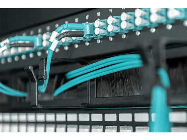 1U-paneel voor kabelbeheer met borstelstrips voor 19'' (483mm) kasten